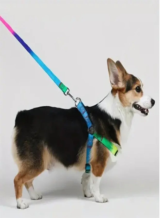 RoverPets Rainbow Design Harness and Leash Set for Small Dogs & Puppies - 15mm Adjustable Soft Strap Set for Mini Breeds - Comfortable & Lightweight Pet Walking Set - Image 5